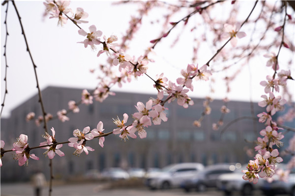 在这里，遇见不一样的春天